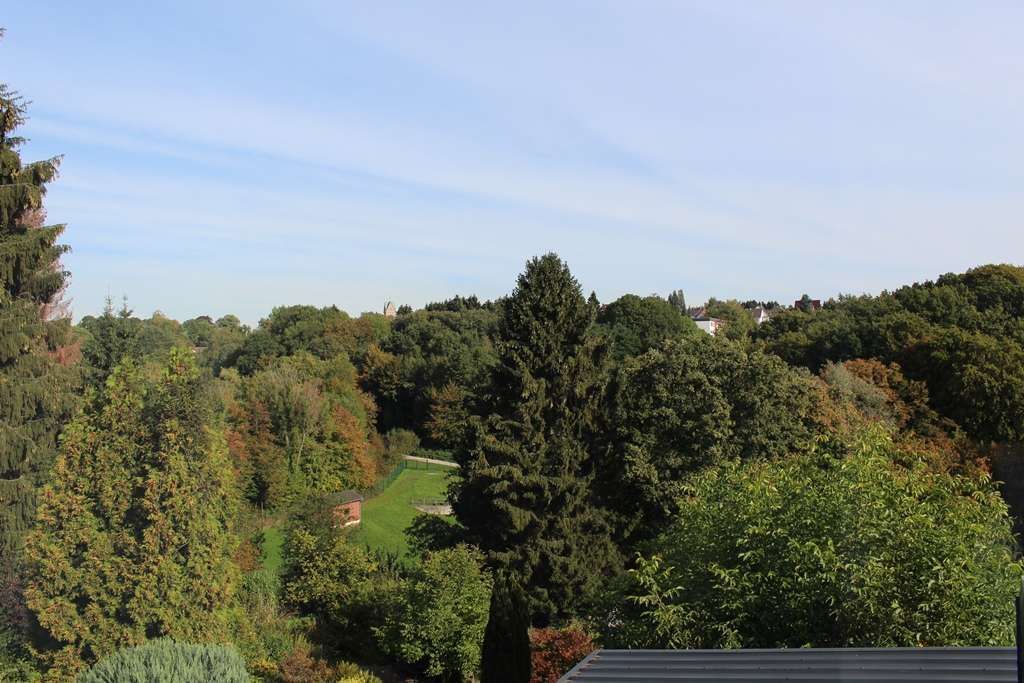 Ausblick